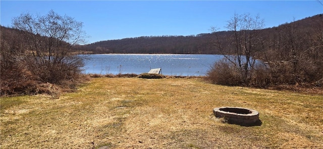 water view with an outdoor fire pit and a view of trees