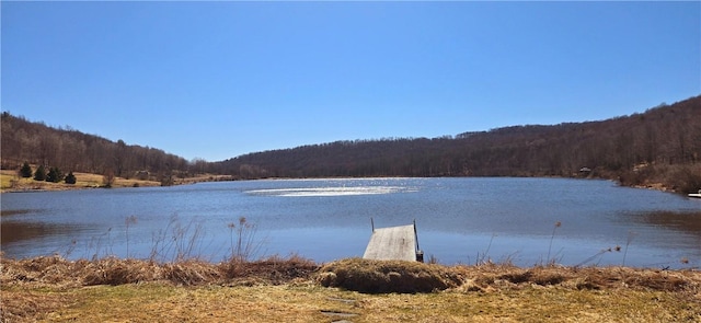 property view of water with a dock and a view of trees