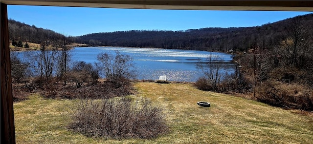 view of water feature featuring a view of trees