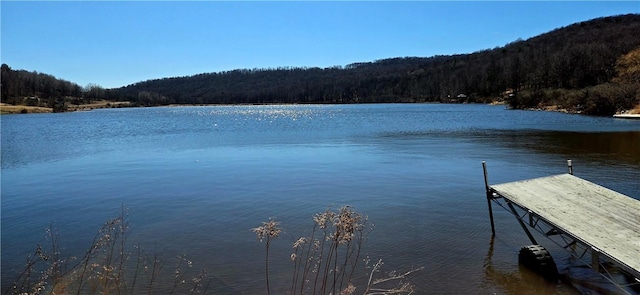 view of dock featuring a water view and a view of trees