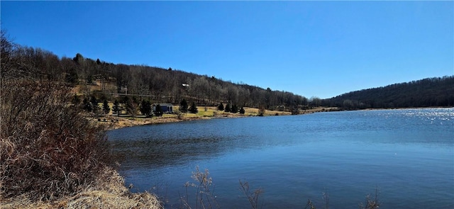 81 Lake Shore Dr, Kortright, NY 13842 - photo 19