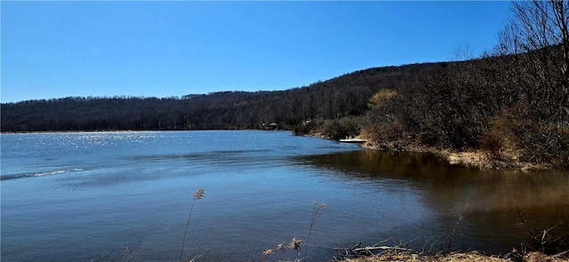 view of water feature featuring a view of trees