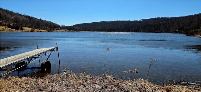 dock area featuring a forest view and a water view