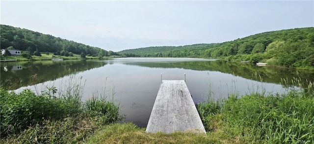 81 Lake Shore Dr, Kortright, NY 13842 - photo 4