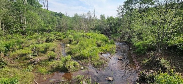 81 Lake Shore Dr, Kortright, NY 13842 - photo 46