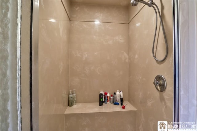 2401/2 Lakeside Dr, Ellery, NY 14712 - bathroom with a shower