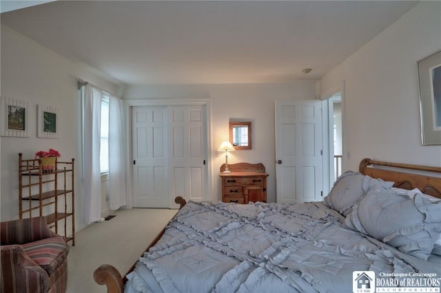 2401/2 Lakeside Dr, Ellery, NY 14712 - bedroom featuring light carpet and a closet