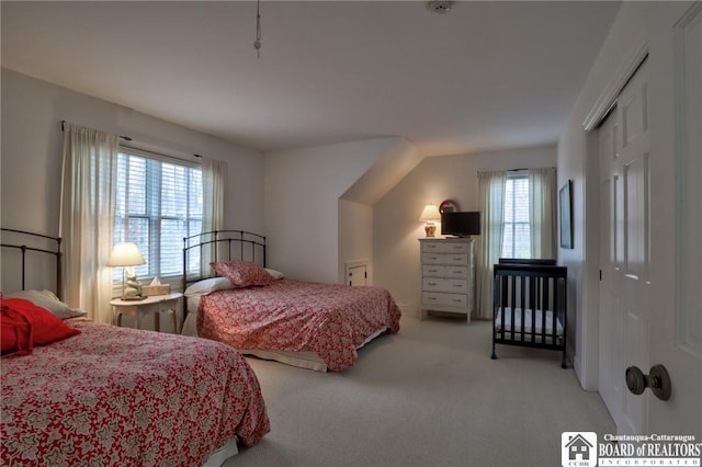 2401/2 Lakeside Dr, Ellery, NY 14712 - bedroom featuring a closet and carpet flooring