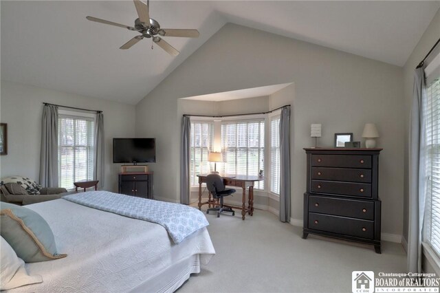 2401/2 Lakeside Dr, Ellery, NY 14712 - bedroom with light carpet, ceiling fan, baseboards, and lofted ceiling