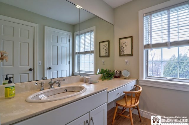2401/2 Lakeside Dr, Ellery, NY 14712 - bathroom featuring wood finished floors, vanity, baseboards, and plenty of natural light