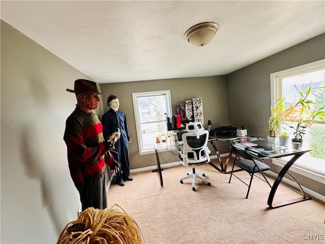 673 Cooper St, Watertown-City, NY 13601 - office featuring baseboards and carpet floors