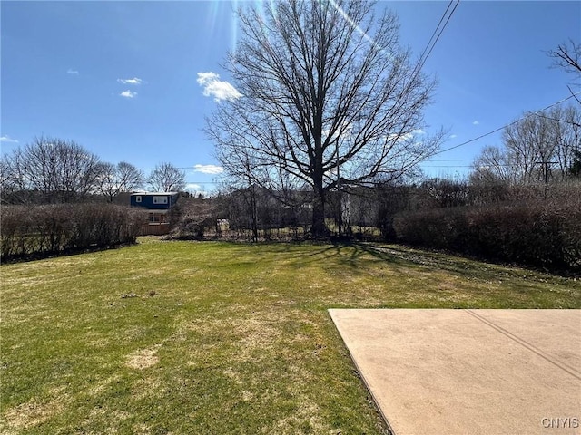 view of yard