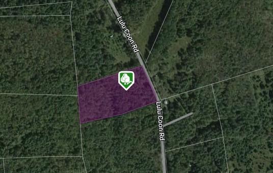 0 Lulu Coon Rd, Butternuts, NY 13776