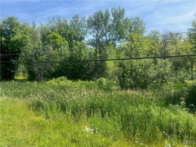 0 State Route 34th Hwy, Ira, NY 13033