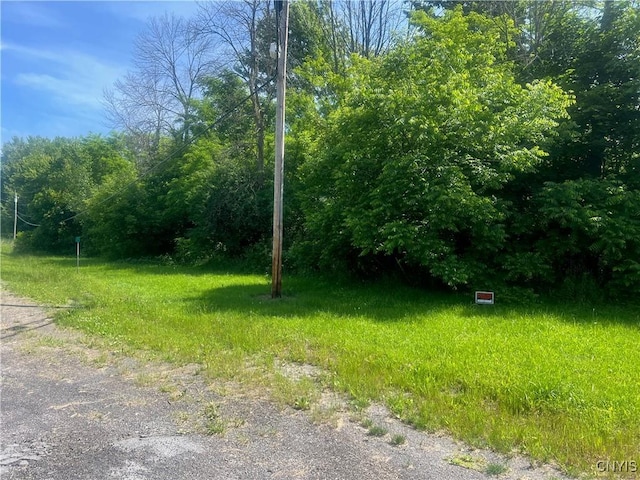 0 State Route 34th Hwy, Ira, NY 13033