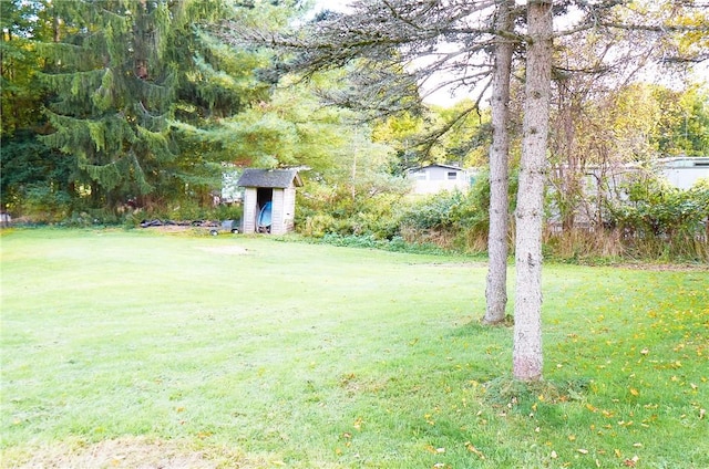 265 Main St, Delhi, NY 13753 - view of yard featuring an outdoor structure and a shed