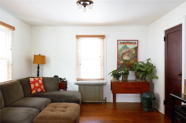 265 Main St, Delhi, NY 13753 - living area featuring radiator and wood finished floors
