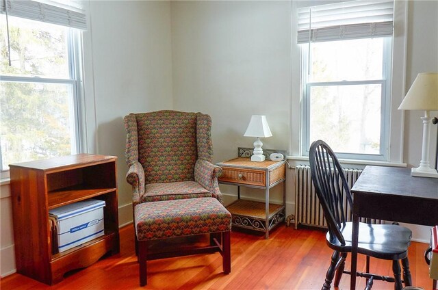 265 Main St, Delhi, NY 13753 - interior space with a wealth of natural light, wood finished floors, and radiator heating unit