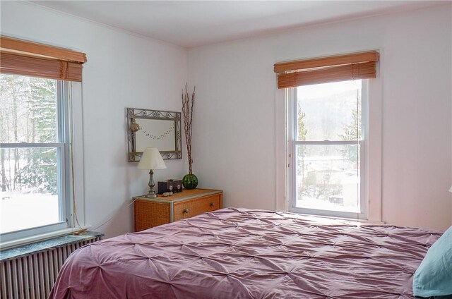 265 Main St, Delhi, NY 13753 - bedroom with radiator