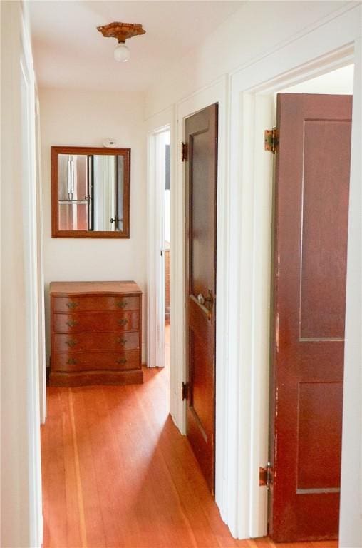 265 Main St, Delhi, NY 13753 - hallway with light wood finished floors
