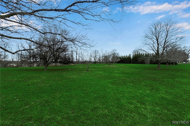 11765 Maple Ridge Rd, Shelby, NY 14103 - view of yard