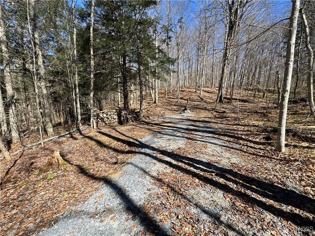 249 Tomahawk, Forestport, NY 13338 - photo 1