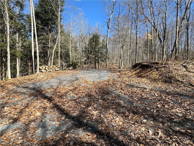 249 Tomahawk, Forestport, NY 13338 - photo 2