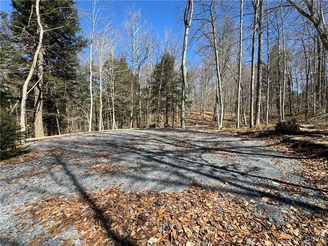 249 Tomahawk, Forestport, NY 13338 - photo 3