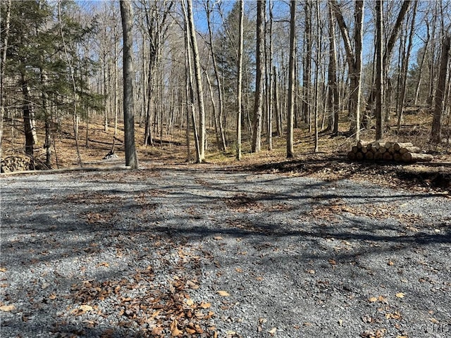 249 Tomahawk, Forestport, NY 13338 - photo 4