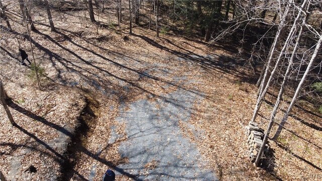 249 Tomahawk, Forestport, NY 13338 - photo 5