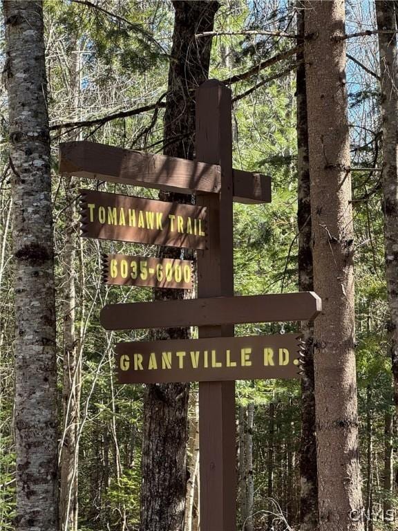 249 Tomahawk, Forestport, NY 13338 - photo 6
