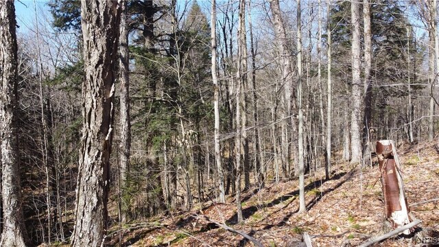 249 Tomahawk, Forestport, NY 13338 - photo 9