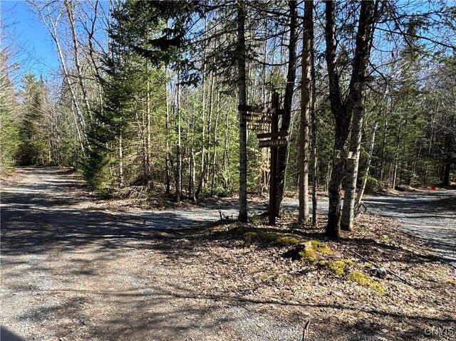 249 Tomahawk, Forestport, NY 13338 - photo 10