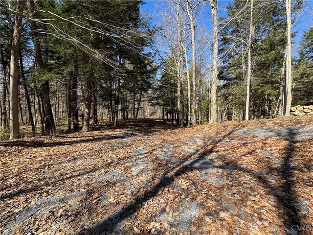 249 Tomahawk, Forestport, NY 13338 - photo 11