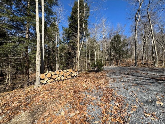 249 Tomahawk, Forestport, NY 13338 - photo 12