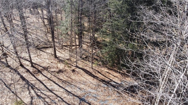 249 Tomahawk, Forestport, NY 13338 - photo 13