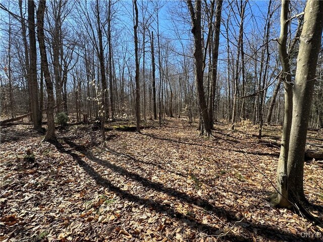 249 Tomahawk, Forestport, NY 13338 - photo 14