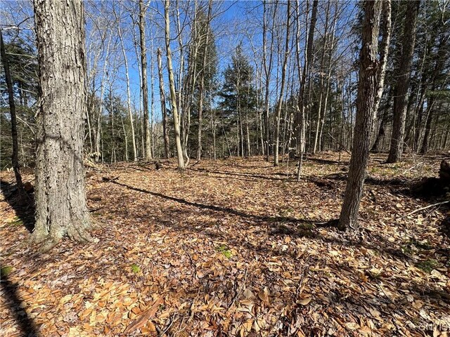 249 Tomahawk, Forestport, NY 13338 - photo 15