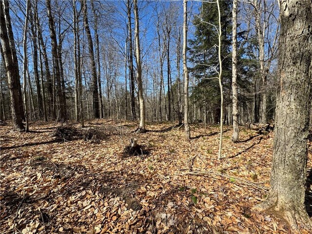 249 Tomahawk, Forestport, NY 13338 - photo 16