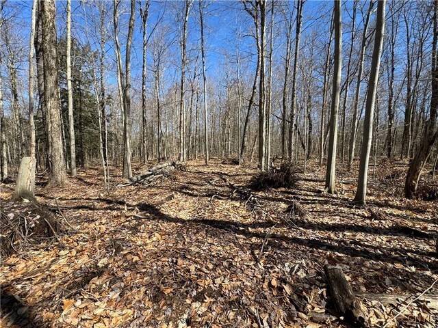 249 Tomahawk, Forestport, NY 13338 - photo 18