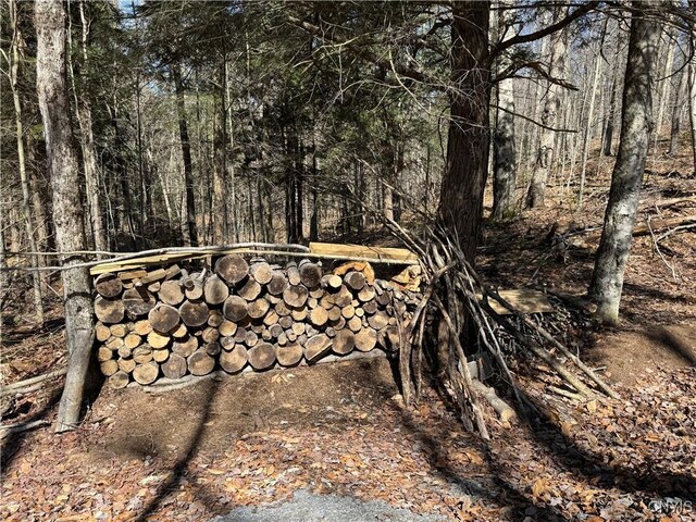 249 Tomahawk, Forestport, NY 13338 - photo 20