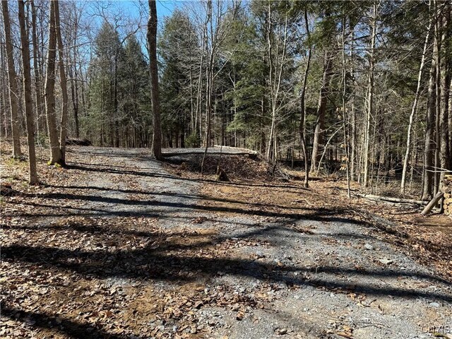 249 Tomahawk, Forestport, NY 13338 - photo 21