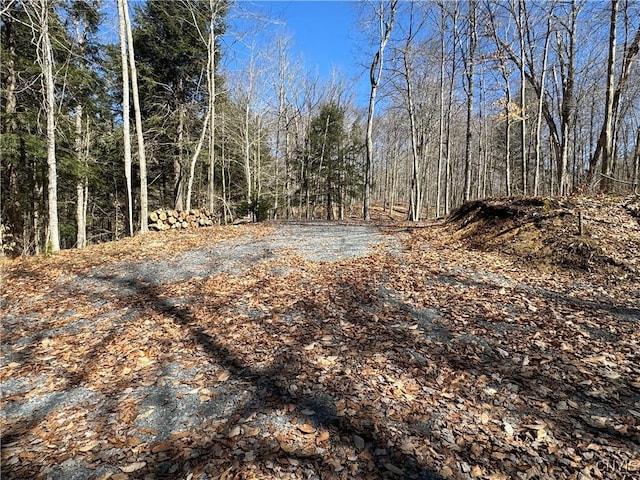 249 Tomahawk, Forestport, NY 13338 - photo 22