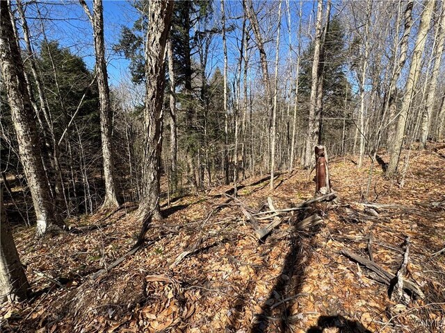 249 Tomahawk, Forestport, NY 13338 - photo 23