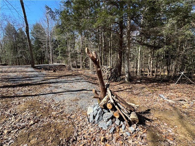 249 Tomahawk, Forestport, NY 13338 - photo 24