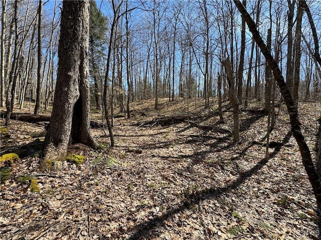 249 Tomahawk, Forestport, NY 13338 - photo 25