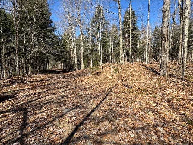 249 Tomahawk, Forestport, NY 13338 - photo 26