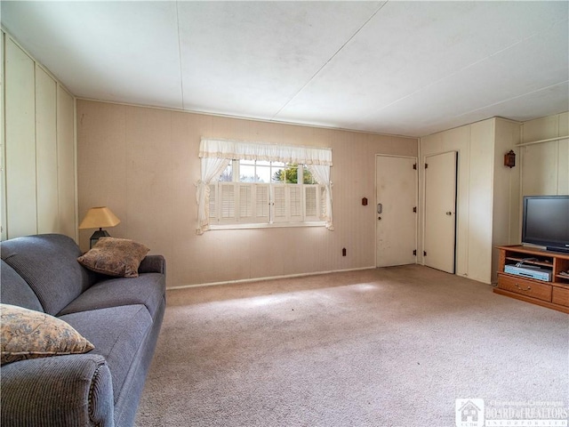 111 Springdale, Jamestown, NY 14701 - living room with carpet flooring