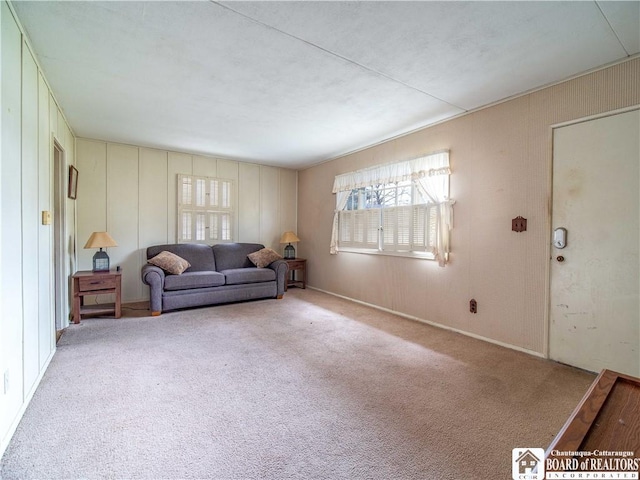 111 Springdale, Jamestown, NY 14701 - view of carpeted living room