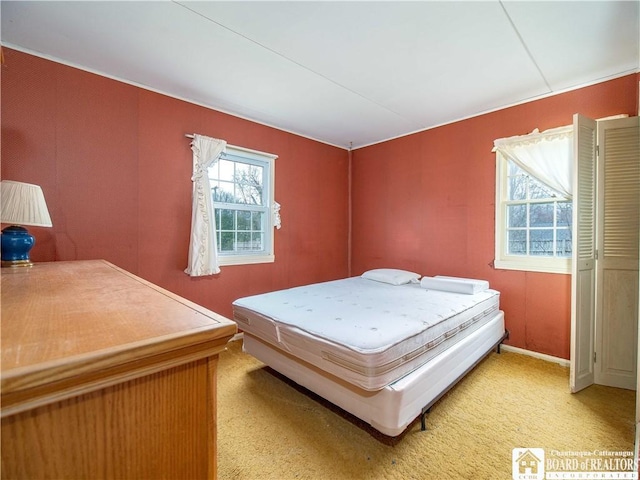 111 Springdale, Jamestown, NY 14701 - bedroom with light carpet